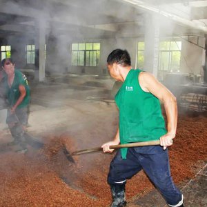 喚醒兩千余條窖池，新的釀酒季由此開始
