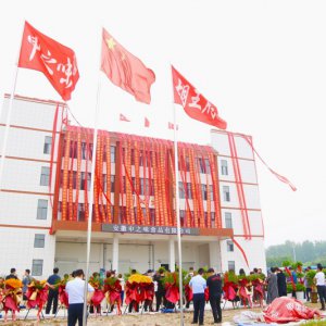 安徽胡王府：預制菜產(chǎn)業(yè)新生力量，助推鄉(xiāng)村振興