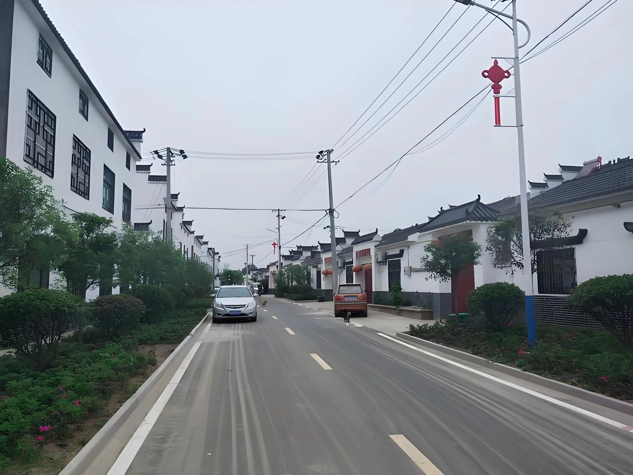 傳承紅色基因，續(xù)寫(xiě)潁上黃壩發(fā)展新篇章